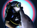   Forbidden Love Interspecies Style Curacao Dolphin Academy Canon Digital rebel 1855 zoom Ikelite 125 Nikonos SB 105 slave 18-55 18 55  